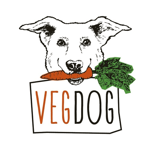 startup-logo